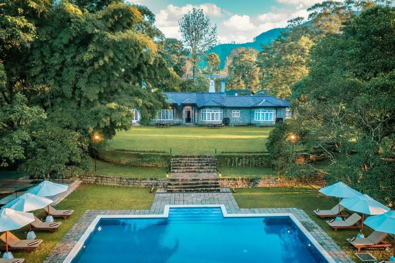 The Lavender House By Reveal location